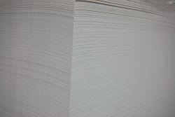 Roll Label Products